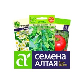 Где Купить Семена Алтая В Красноярске