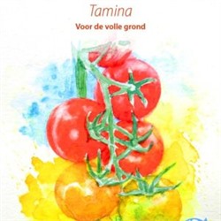 Помидоры Тамина Яблонька России — Tamina Tomato (10 семян)