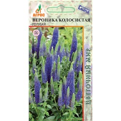 Вероника Колосистая Голубая (Код: 90824)