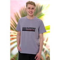 футболка мужская 2861-12
