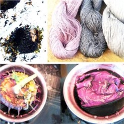 Чёрные Подсолнухи Племени Хопи — Hopi Black Dye Sunflower (10 семян)