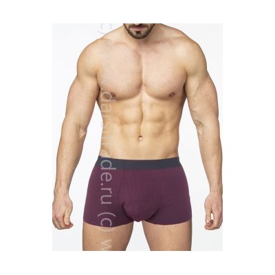 SD2905-2 Трусы мужские Sergio Dallini боксеры