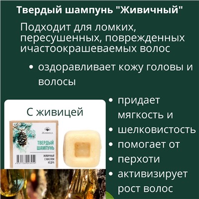 Твердый шампунь Живичный