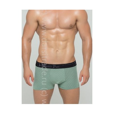 SD2017-3 Трусы мужские Дроп Salvador Dali боксеры
