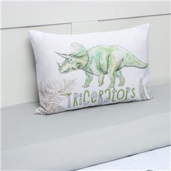 Постельное бельё Этель 1,5 сп Dino world 143х215 см, 150х214 см, 50х70 см -1 шт,