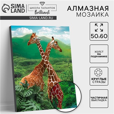 Алмазная мозаика с частичным заполнением на подрамнике «Жирафы», 50 x 60 см