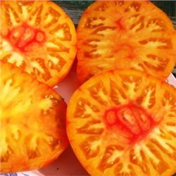 Помидоры — Beauty King — Король Красоты (10 семян)