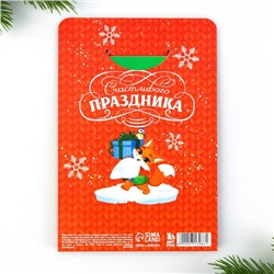 Подарочный набор новогодний, блокнот, наклейки 2 листа, магнитные закладки 2 шт. «Чудесный набор»