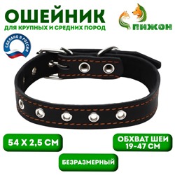 Ошейник кожаный на синтепоне, безразмерный, 54×2.5 см, ОШ 19-47 см, чёрный