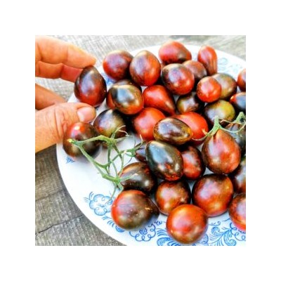 Помидоры Синий Кейс — BLUE KEYES Tomato (10 семян)