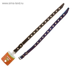 Ошейник кожаный на синтепоне, безразмерный, 37 х 1,5 см, ОШ 21-31 см, синий