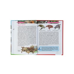 Детская энциклопедия «Красная книга»