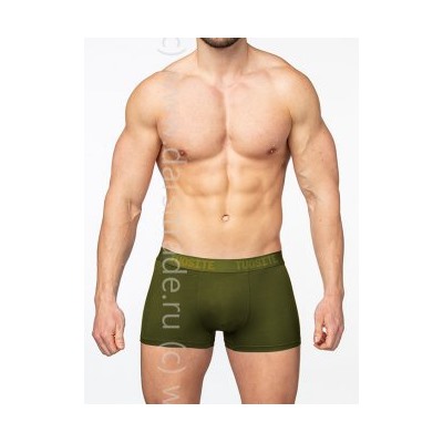 TS7801-2 Трусы мужские Дроп Tousite боксеры