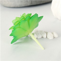 Суккулент искусственный 6,5х6,5 см / GN104 /уп 100/