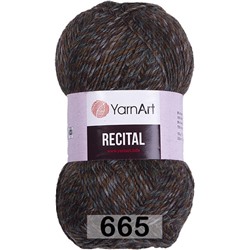 Пряжа YarnArt Recital