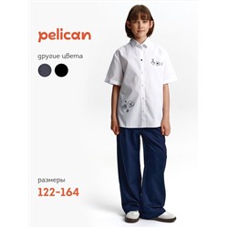 PELICAN Брюки