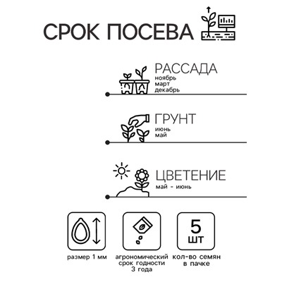 Семена комнатных цветов Герань "Яблоневый цвет", F1, 5 шт.