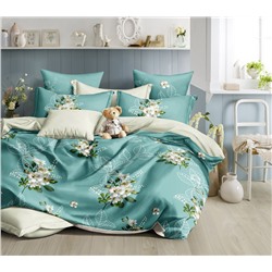 Постельное белье из поплина cтандарт П-3284