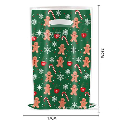 Набор пакетов подарочных новогодних 10 штук 25*17 см. ИМБИРНОЕ ПЕЧЕНЬЕ