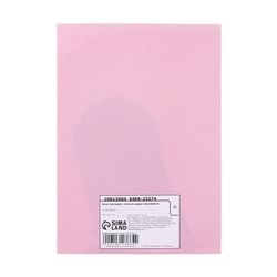 Блок для записей 45×75 мм, 30 листов «Серая лапка»