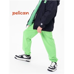 PELICAN Брюки