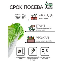 Семена Капуста пекинская "ЧА-ЧА", 0.3 г