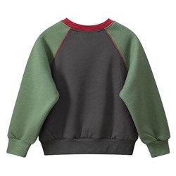 TSKIDS Толстовка утепленная   K2708