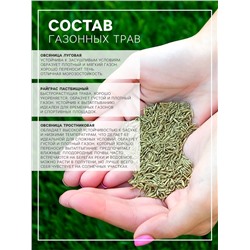 Газонная травосмесь «Засухоустойчивая», 1 кг