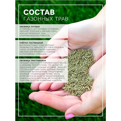 Газонная травосмесь «Засухоустойчивая», 1 кг