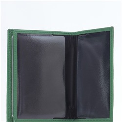 Кошелек портмоне Richet Ri-204P 268 Зеленый