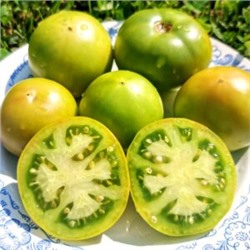 Помидоры Зелёный Карлик Келли — Dwarf Kelly Green Tomato (10 семян)