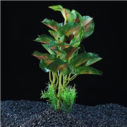 Растение аквариумное «В горшочке», 31×23×19 см