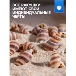 Набор ракушек, 1 - 2 см, 100 г