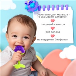 Набор прорезывателей, щётка, прорезыватель на руку, фрукт, 4 шт.