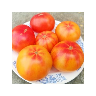 Помидоры Головокружительный Русский — Russian Swirl Dwarf Tomato (10 семян)