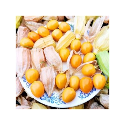 Физалис ФРУКТОВЫЙ Индийский РАСБХАРИ ЯГОДЫ ИНКОВ — Rasbhari Inca Berries (10 семян)