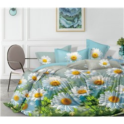 Постельное белье из бязи 125гр (без шва)  Б3Д-493