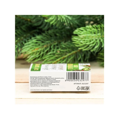 Новогодний набор эфирных масел «Крепкого здоровья в новом году!», эвкалипт, мята, 2 шт. по 10 мл