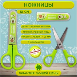 Канцелярский набор Авокадик