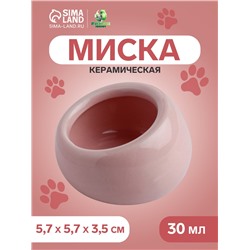 Миска керамическая для грызунов со скошенным краем 30 мл  5,7 х 5,7 х 3,5 см, розовая