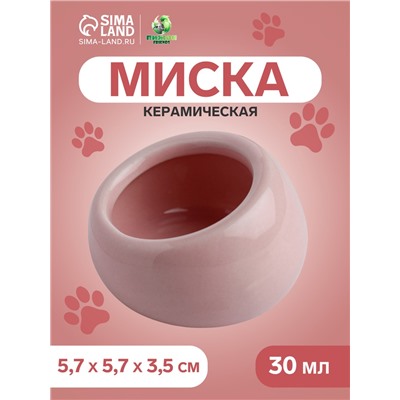 Миска керамическая для грызунов со скошенным краем 30 мл  5,7 х 5,7 х 3,5 см, розовая