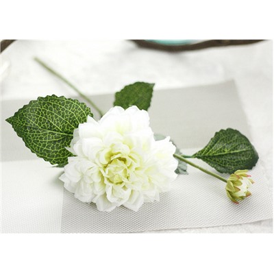 Георгины GF14979