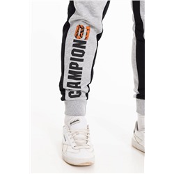 Брюки М12001Па