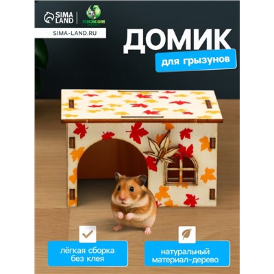 Домик для грызунов, 9×8.2×5.3 см, фанера