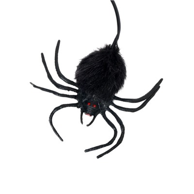 Прикол «Прыгающий паук»