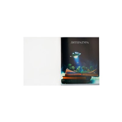 Предметная тетрадь по литературе Calligrata TOP «Школьный стиль», 48 листов, в линейку, со справочным материалом, пластиковая обложка