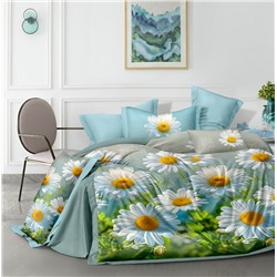 Постельное белье из поплина cтандарт ПВ31-1490