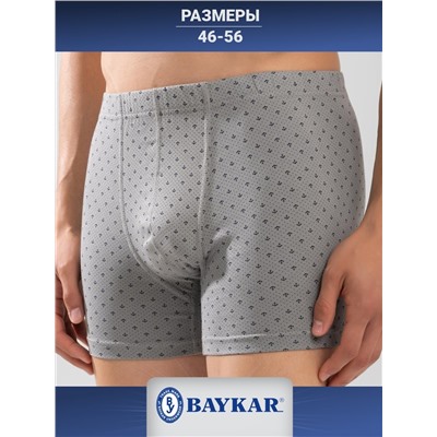 1174-13 Боксеры для мужчин (BAYKAR)