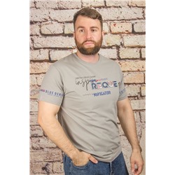 Футболка 6069 серый HEDRICY
