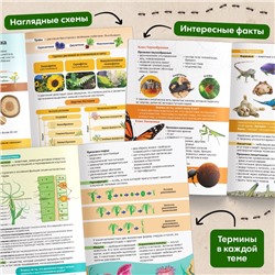 Энциклопедия в мягком переплёте «Биология для детей», 68 стр.